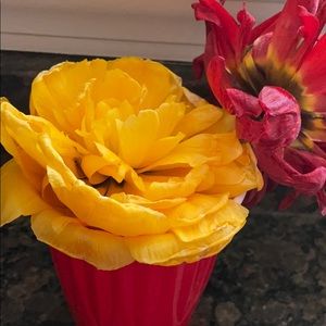 Meet your Posher, Bushra